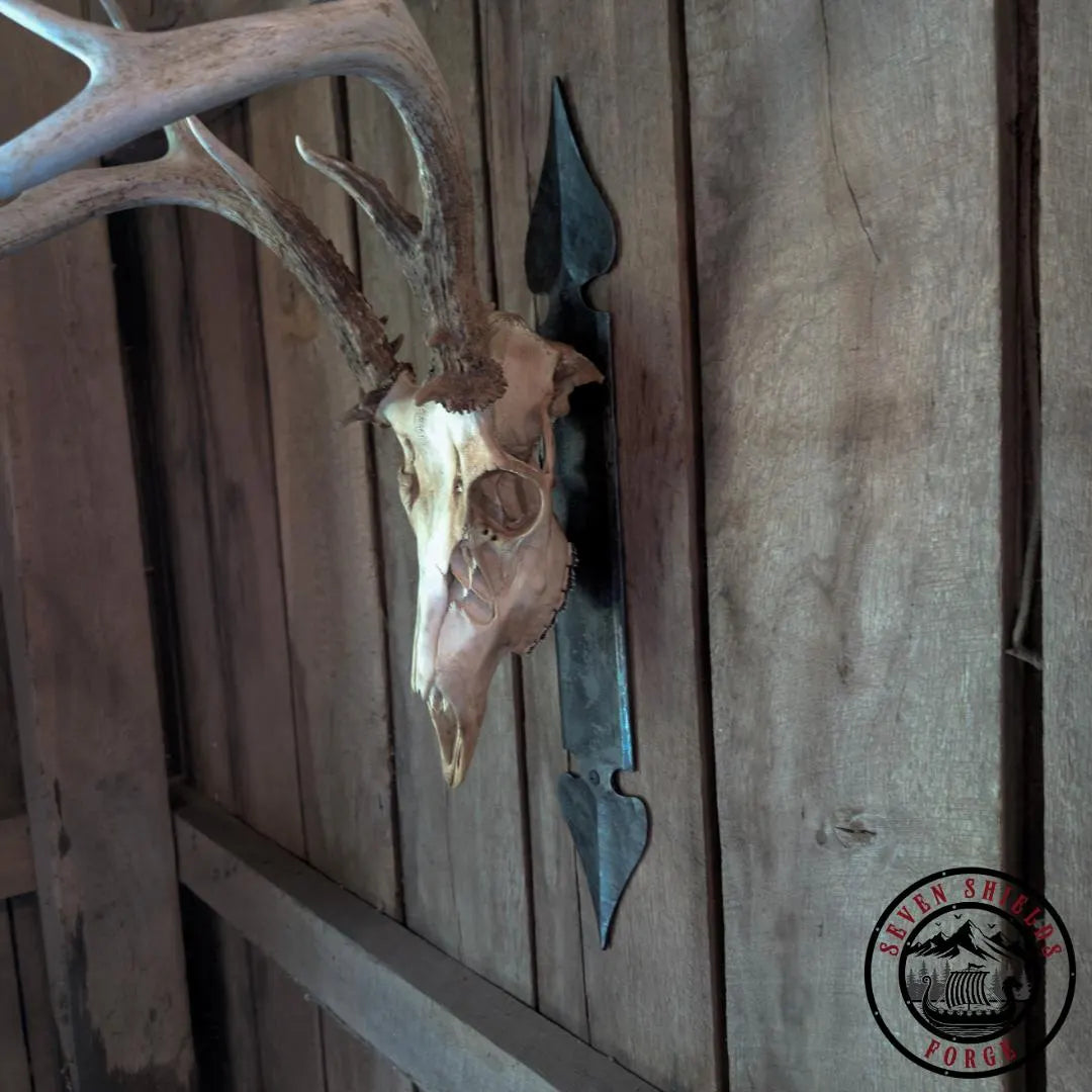 Rustic Forged Skull Mount