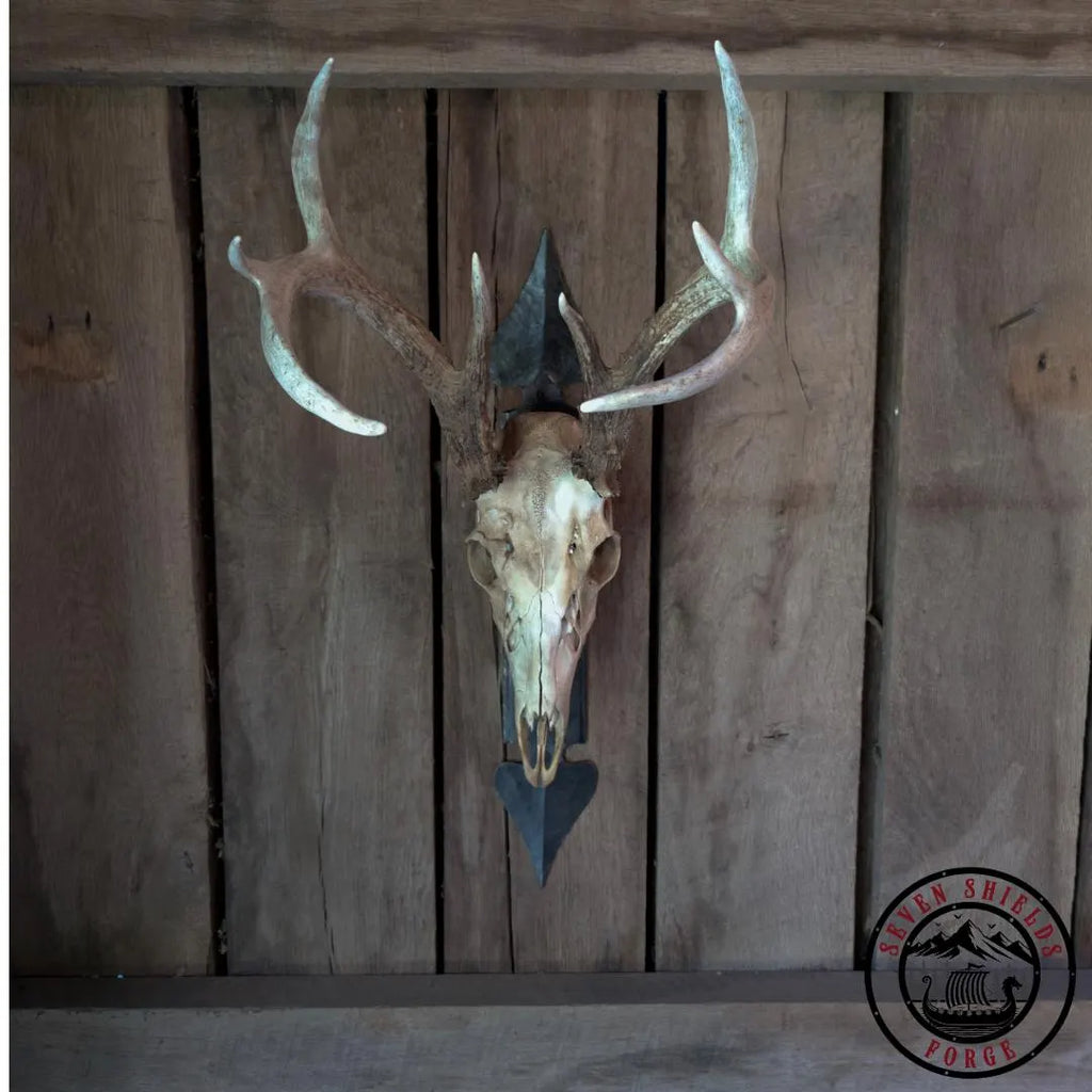 Rustic Forged Skull Mount
