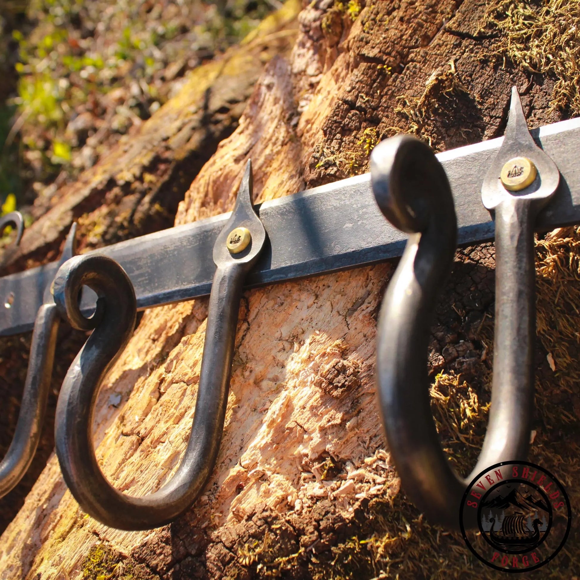 Forged Rustic Hook Rack