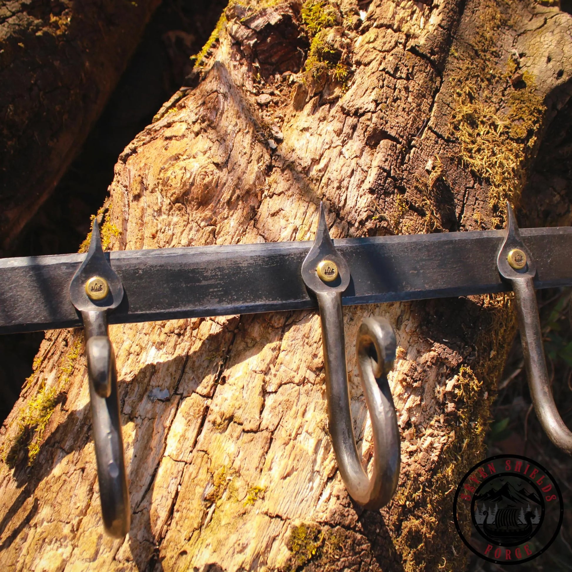 Forged Rustic Hook Rack